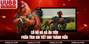 Đá Gà UU88 - Sảnh Đặt Cược Trực Tuyến Đỉnh Cao Hiện Nay