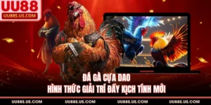 Đá Gà UU88 - Sảnh Đặt Cược Trực Tuyến Đỉnh Cao Hiện Nay