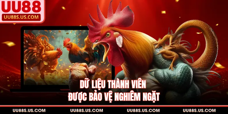 Đá Gà UU88 - Sảnh Đặt Cược Trực Tuyến Đỉnh Cao Hiện Nay