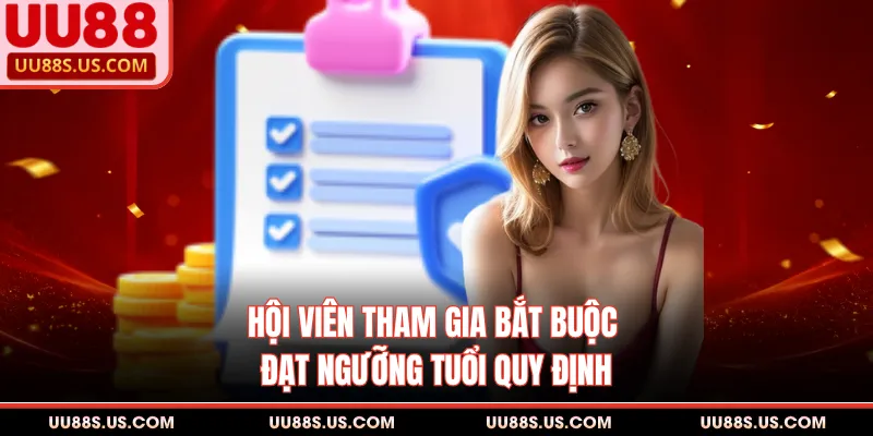 Điều Khoản Và Điều Kiện - Quy Định Pháp Lý Nền Tảng