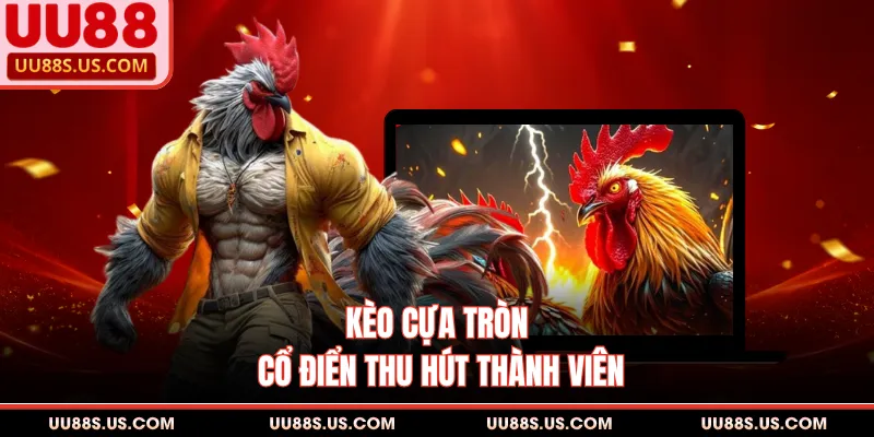 Đá Gà UU88 - Sảnh Đặt Cược Trực Tuyến Đỉnh Cao Hiện Nay
