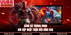 Đá Gà UU88 - Sảnh Đặt Cược Trực Tuyến Đỉnh Cao Hiện Nay