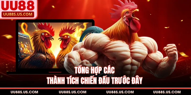 Đá Gà Đòn - Nét Đẹp Văn Hóa Thể Thao Dân Gian Đặc Sắc Đá Gà Đòn - Nét Đẹp Văn Hóa Thể Thao Dân Gian Đặc Sắc
