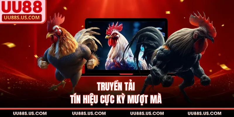 Sảnh Gà Thomo UU88 - Nơi Cập Nhật Trận Đấu Đỉnh Cao Sảnh Gà Thomo UU88 - Nơi Cập Nhật Trận Đấu Đỉnh Cao
