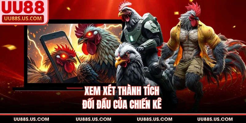 Đá Gà Cựa Dao - Hình Thức Giải Trí Đầy Kịch Tính Mới